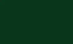 26-gauge metal roof color evergreen