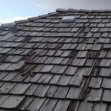 What Roof Hail Damage in Wellington Looks Like
